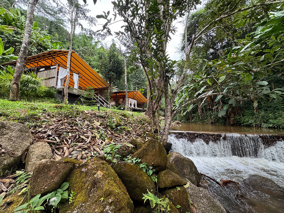 The Mornery Cascades