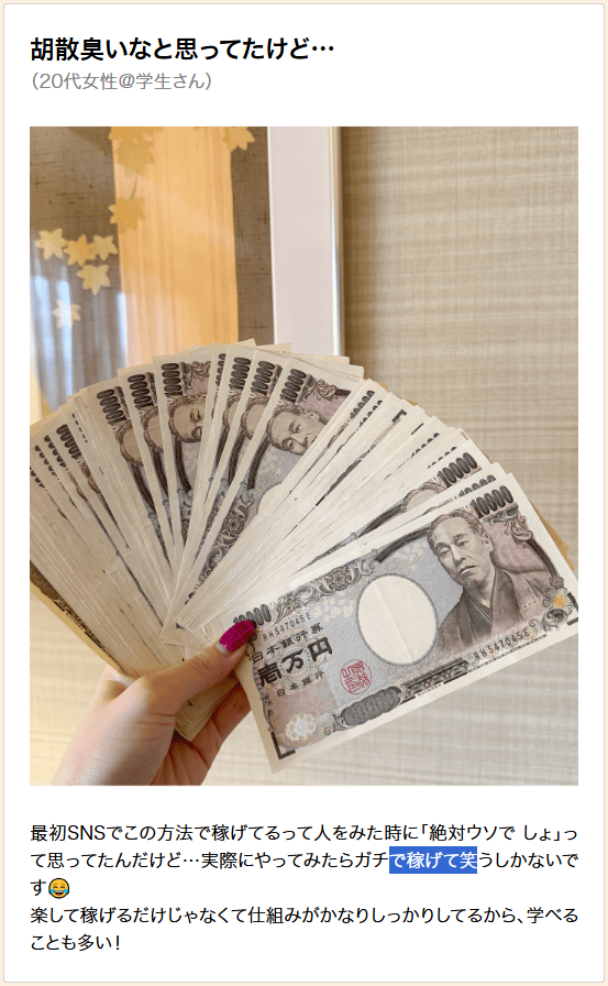 シンセイ(株式会社とは)のアンケート副業は詐欺？の口コミ