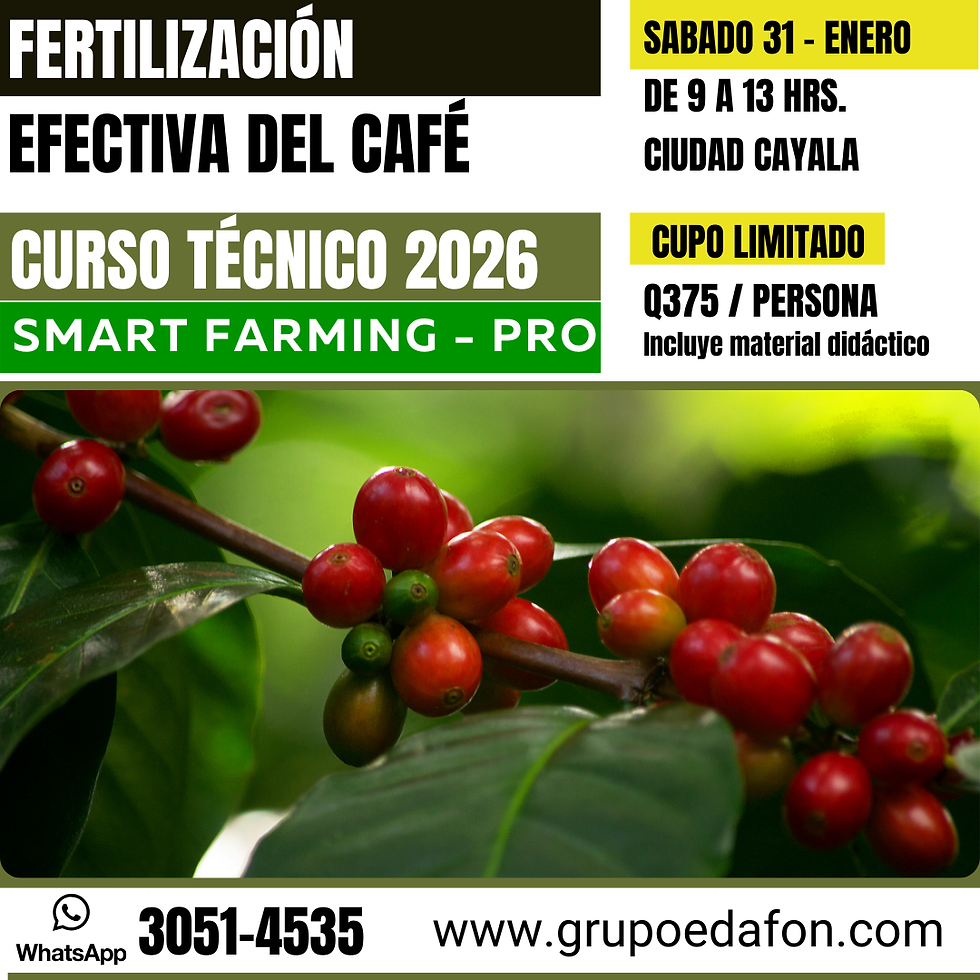 FERTILIZACIÓN EFECTIVA DEL CAFÉ 