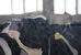 Welcome to Flis AgriMedia!