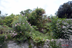 2011_160830_Rundfahrt Tag 3