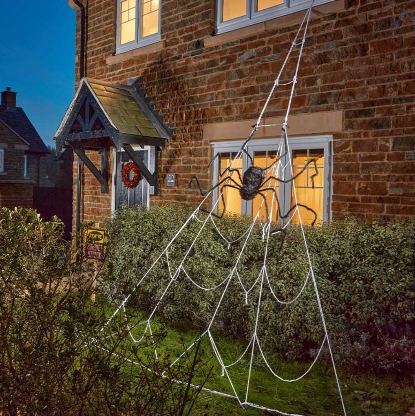 Giant Spider and Spiderweb