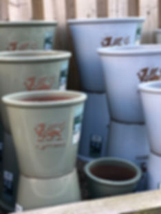 IMG_2601.jpeg