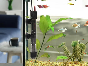 A home aquarium during winter with a heater installed, showing stable water temperature to keep fish healthy in colder months.