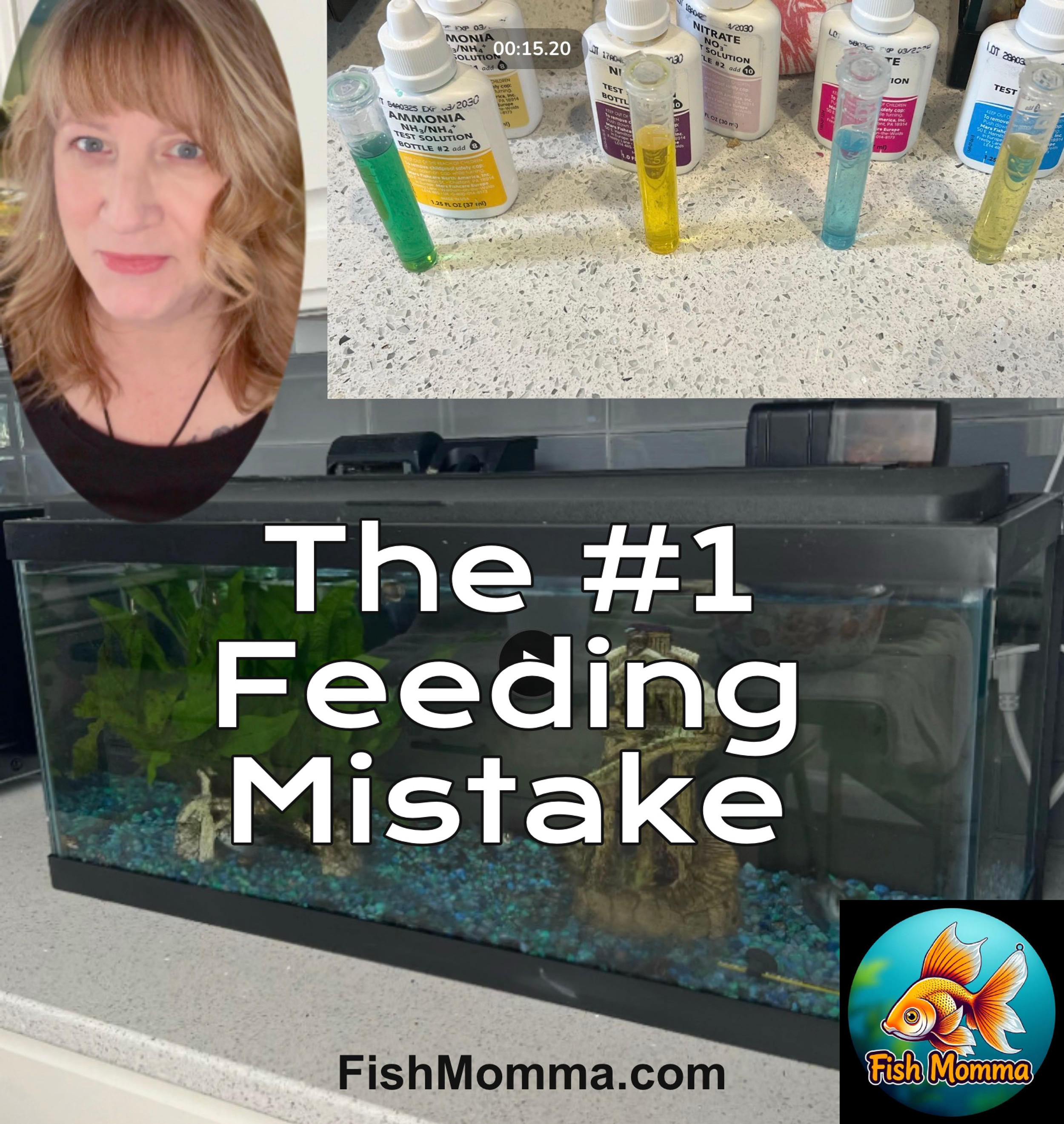 The #1 Aquarium Mistake I See: Overfeeding