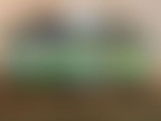 20 gallon long freshwater aquarium with live plants, open swimming space, and balanced community fish stocking.