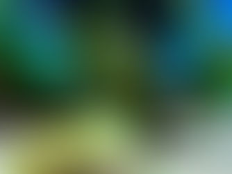 Neon tetras in a community fish tank