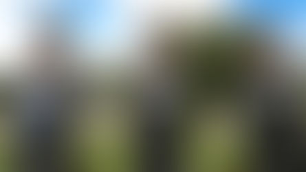 25 de Novembro: Dia Internacional para a Eliminação da Violência contra as Mulheres