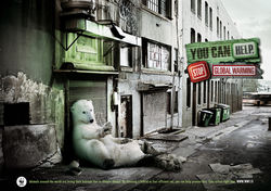 WWF - Homeless