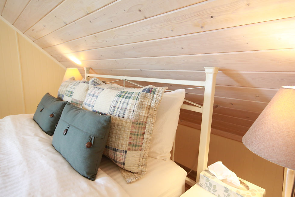 Lodge Standard Room #4 & Kids Kubby Camp