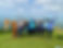 IMG_4698 2.jpeg