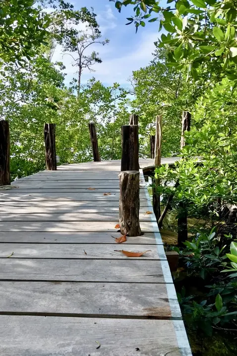 Vulla Luzo jetty Raja Ampat