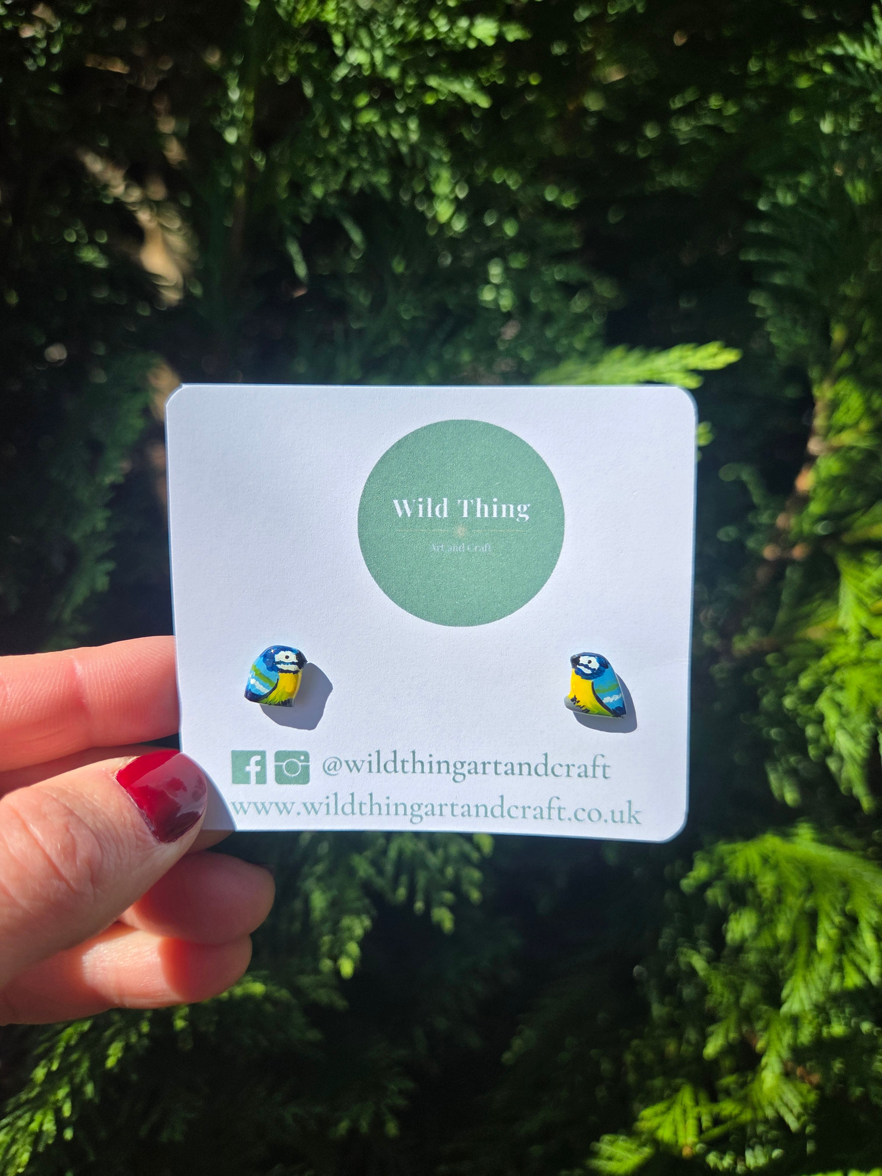 Blue Tit Studs