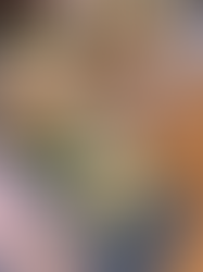 Hampurilaisia Portugalista