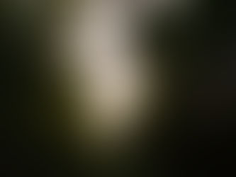 IKIGAI - prasmė gyventi