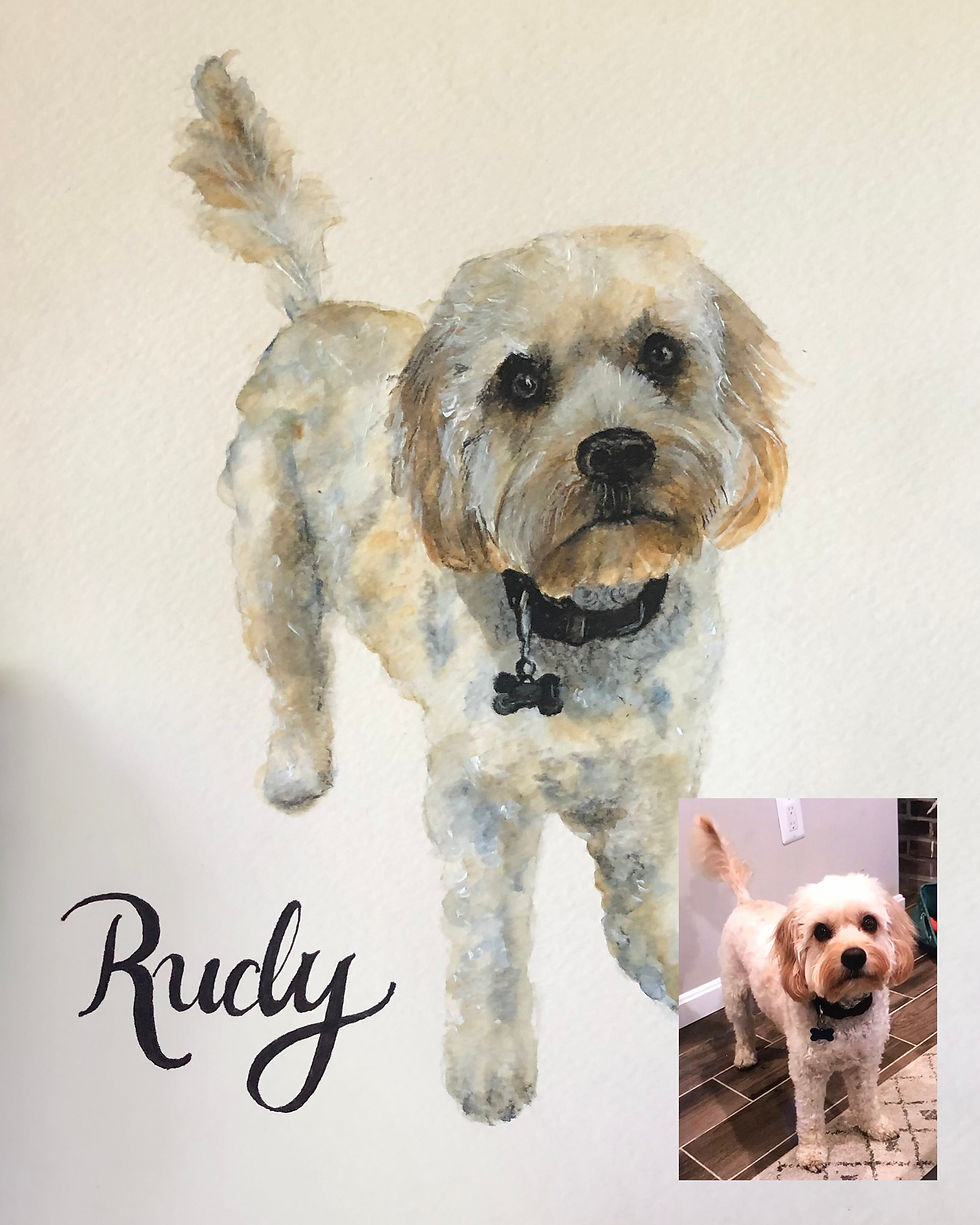 Rudy