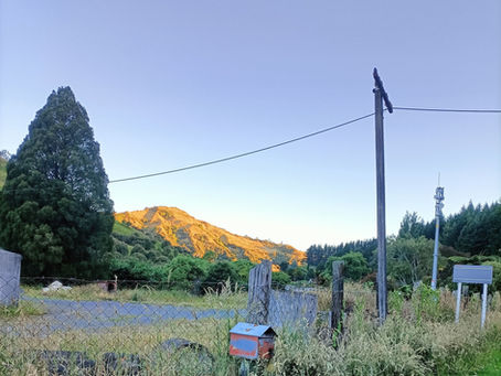 view from Ohura Road Whangamomona