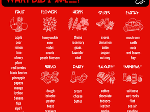 A GUIDE TO MY TASTING NOTES III: WHAT DID I SMELL?