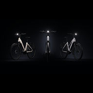 Lindtbergh e-bike assortiment