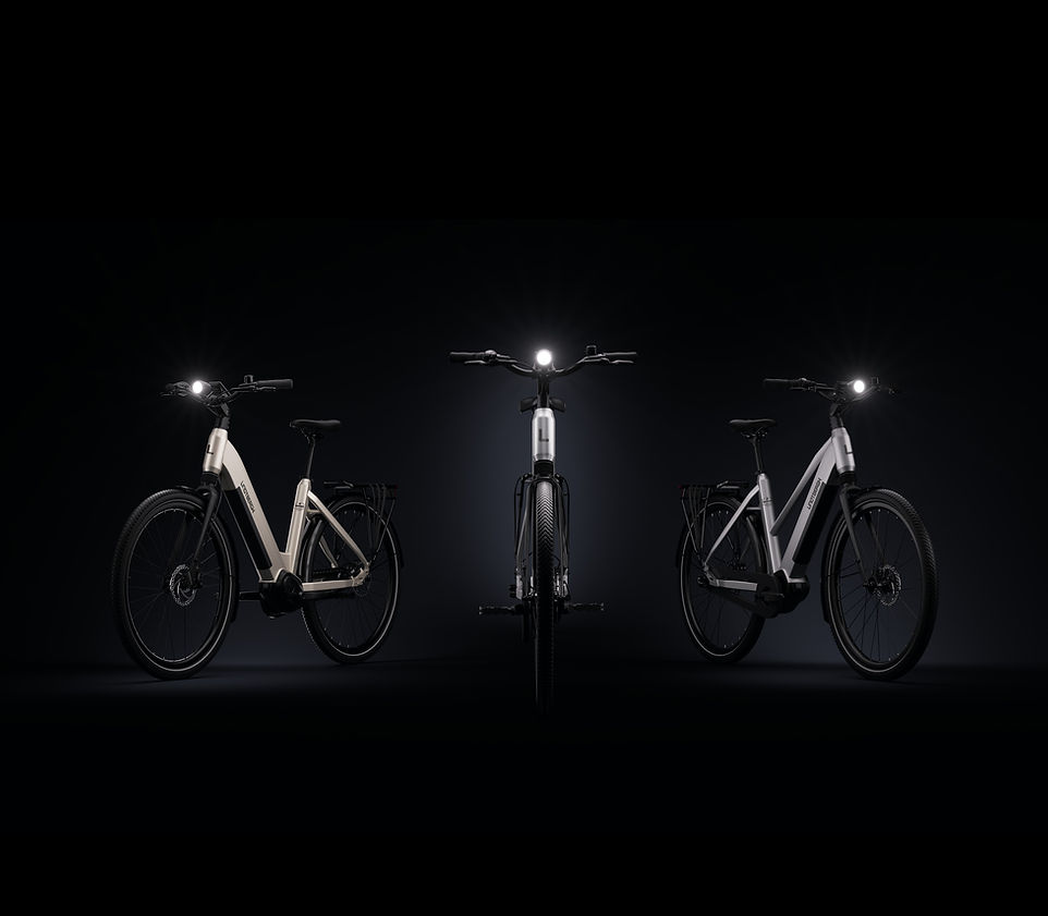 Lindtbergh overall assortiment e-bikes en elektrische fietsen