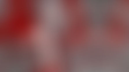 【雛りなバースデー】雛りな