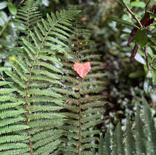 shanagarry reflexology midleton co cork