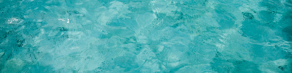 google forms header (2).png