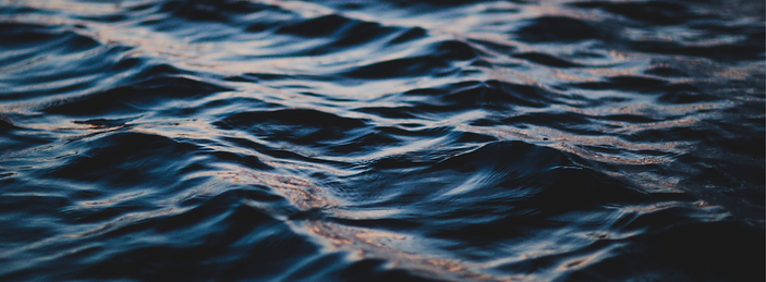 wave website background.png