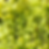 Ads Vila.png