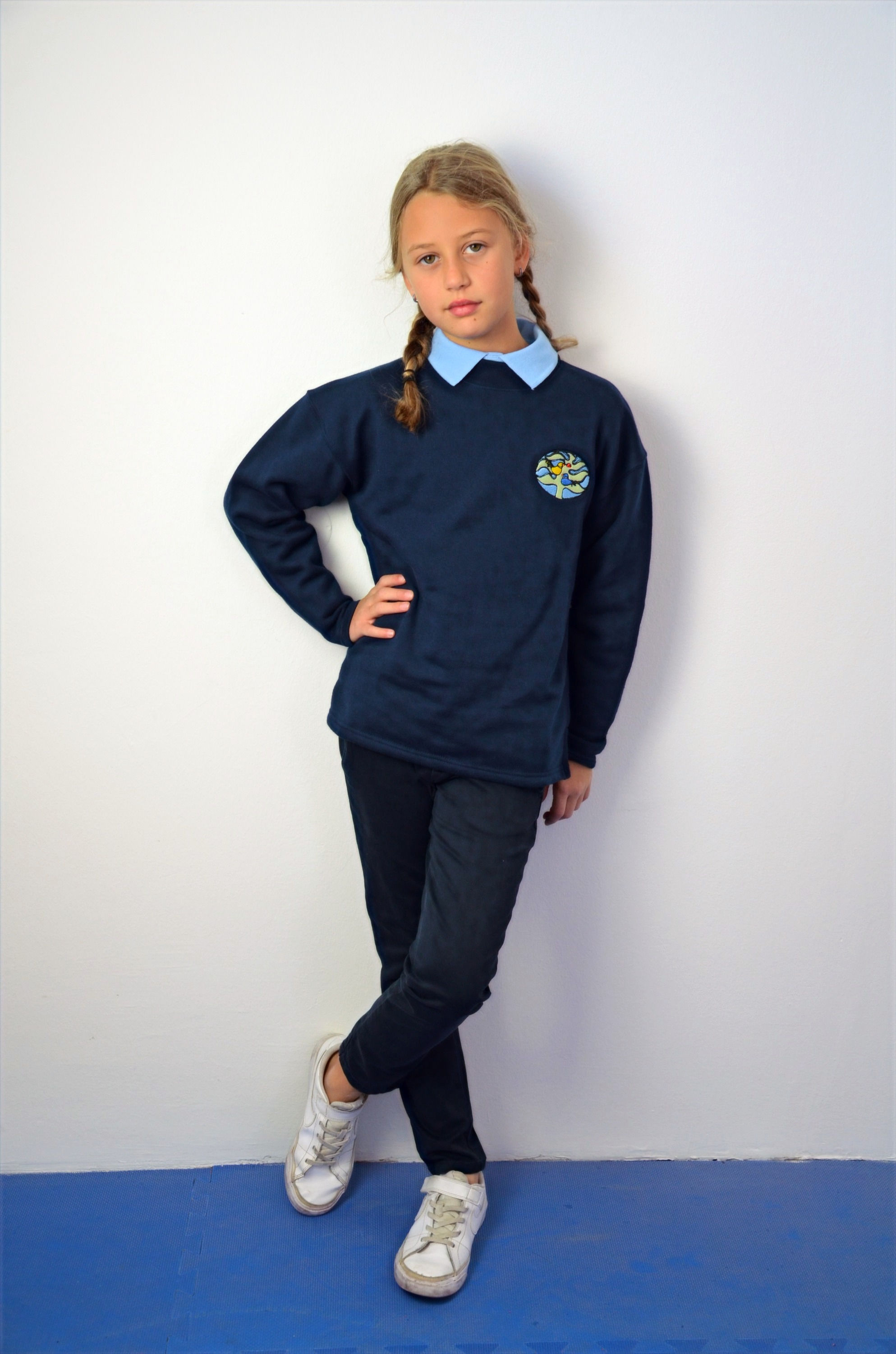 Pullover mit Schullogo PVS