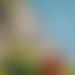 Re-Evaluating Black Masculinity: Shoot One