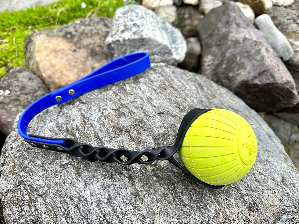 Thumbnail: Extreme Rubber Ball Tug/Fetch Toy