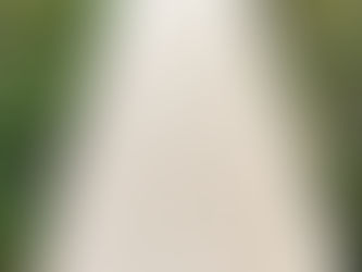 Jak poznat kvalitní dubové dřevo při nákupu?