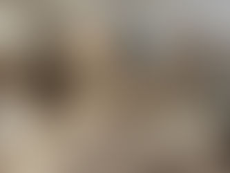 Schodnice: Který materiál vybrat pro schody – přírodní dřevo nebo umělé materiály?