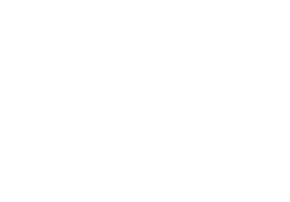 SmartHubLogo-wht.png