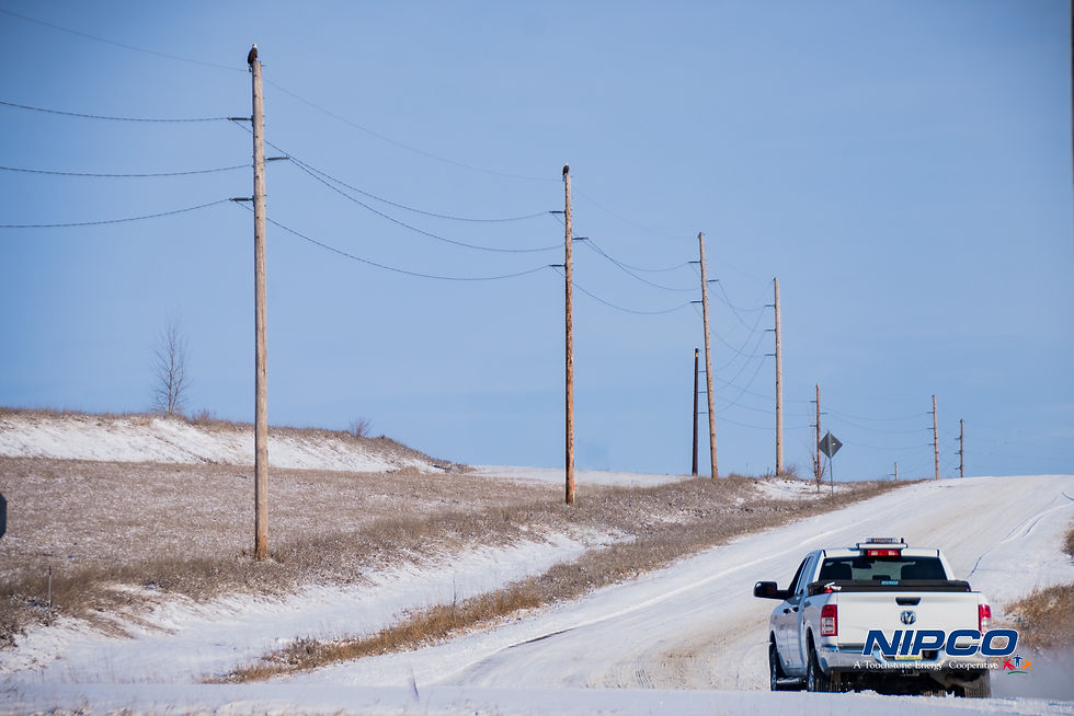 NIPCO line superintendent drives away from NIPCO headquarters as two eagles perch on transmission poles.