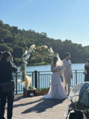Wedding Reception - Wedding Ceremony Arch_edited.jpg