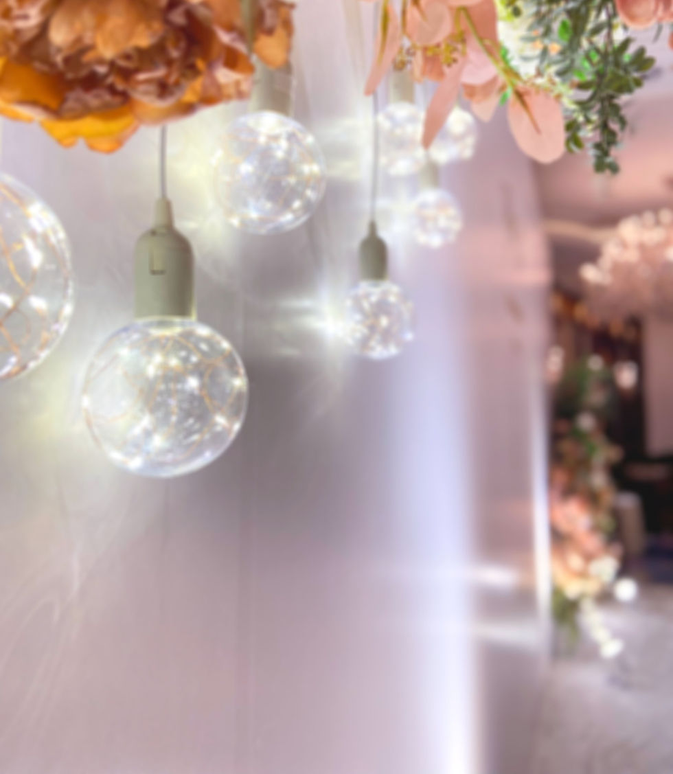 Wedding Reception - Backdrop_edited_edited_edited.jpg