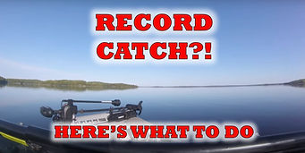biggest fish ever caught world record largemouth bass