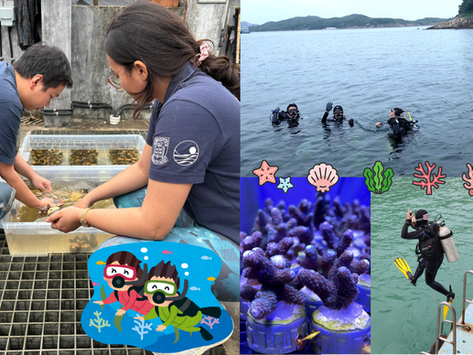 New Chapter for Wendy’s Coral Research Project (Prof. Shelby McIlroy’s group)