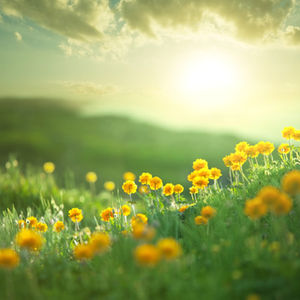 How the Holy Spirit affects the life of the believer – Part 1