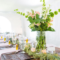 Lake Erie Wedding venue