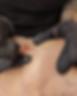 D2755E2B-DC04-4DFE-9677-EBA5A9CA4C23_edited.png