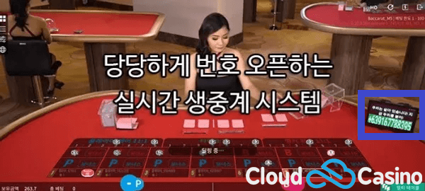 마이크로게이밍1-바카라,카지노,온라인카지노,바카라사이트,카지노사이트,룰렛,블랙잭.png