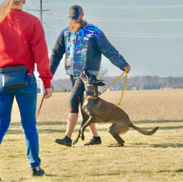 Step Away From RoundUp If You Love Your Pets
