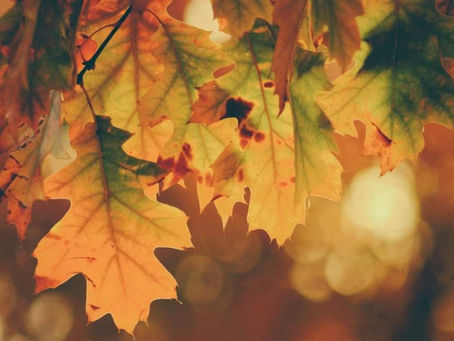 Come join our Autumn Celebration!