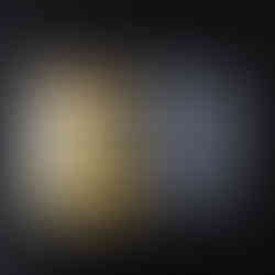 日版圖錄-金/銀