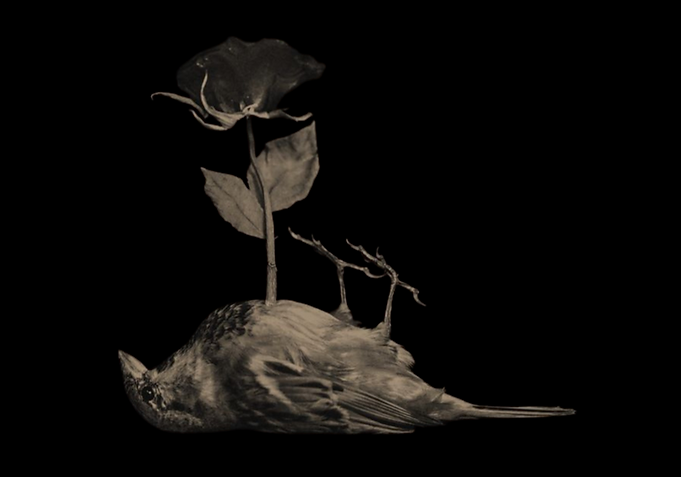 Iiii (8)_edited_edited_edited.png