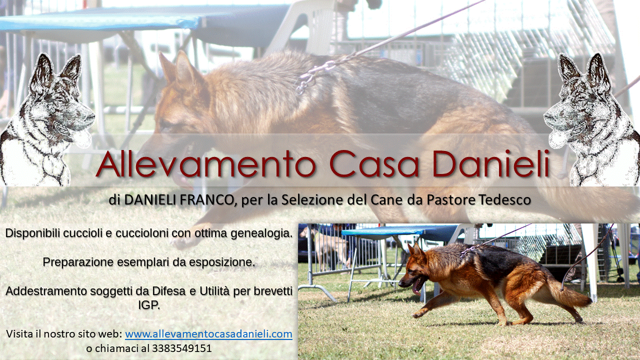 Allevamento Casa Danieli