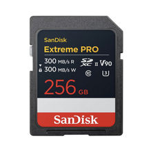 SanDisk Memory Cards